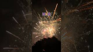 Japan Summer Fest 🎇🎆 #花火 #japansummer #summerfestival #summerfireworks #夏祭り #japanfireworks #short