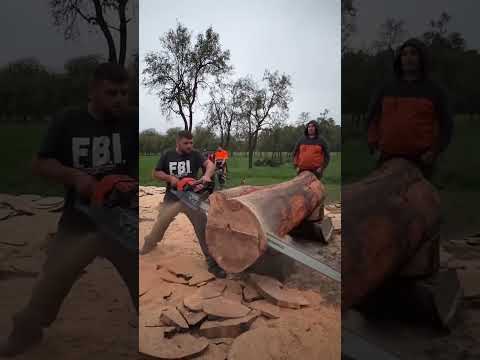 Power Saw Secrets for Big Wood Cutting! #woodcutting #chainsawman #shortvideotrends #sharpenthesaw