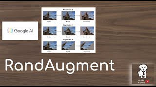 RandAugment Explained!
