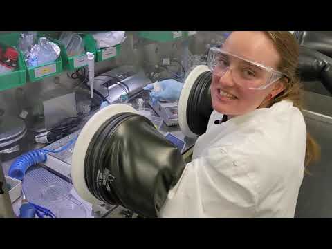 Exciton Science Laboratory Tour: UNSW Sydney