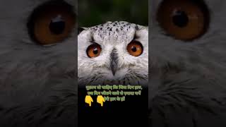 #viral #shorts #trending  #examtoppers #dewanshchakravarti