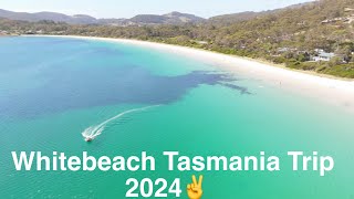 Whitebeach,  Port Arthur ,Tasmania. 2024