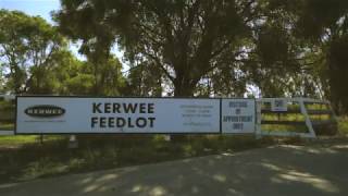 Kerwee Testimonial - TechPath