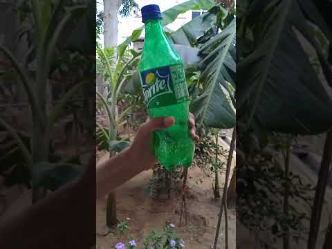 Bottle experiment with real life #shortsfeed #shorts #youtubeshorts #experiment #viral #shortsviral
