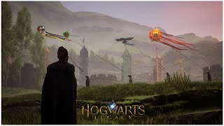 When the developer feels bored - Hogwarts Legacy