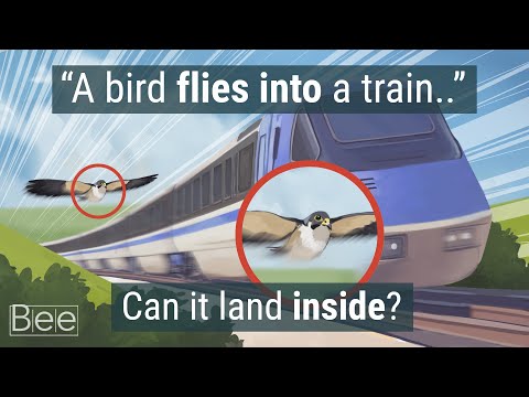 Physics Riddles that will Keep You Awake at Night