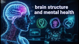 the neuroscience of mental health brain anatomy explained