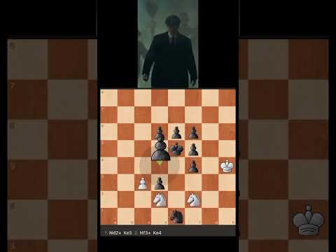 Genius chess puzzle 🤓 Mate in 19! #chess