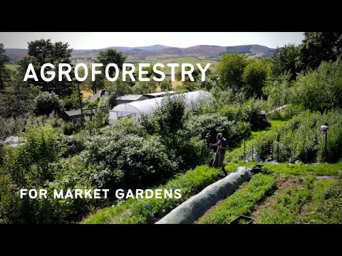 A FOREST GARDEN FARM: Agroforestry for market gardens (forest gardens & alley cropping)