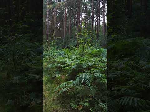 #countryside #weekend #england