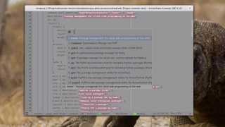 Package Manager Integration
