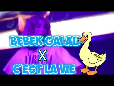 DJ BEBEK GALAU X C'ES LA VIE VERSI MELODY-Remix Slow