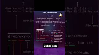 Linux file all permissions #filepermissions #linux #kali #linuxpermission #tools #viral #newvideo