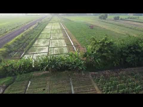 TES TERBANG DJI MINI 2 SE MODE FPV DITAHUN 2024