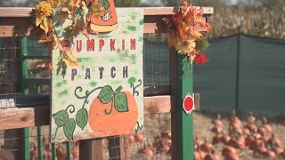 Oklahoma Heritage Farm Transforms To Host Fall Festival