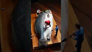 Know your food: Herring