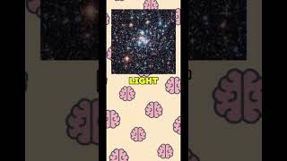 You’re ALWAYS Living In The Past (Here’s Why) #didyouknow #mindblown  #learnonyoutube