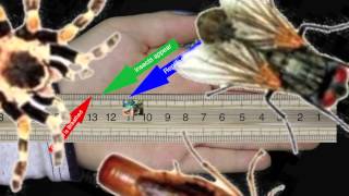 Science Lessons with Uncle Bob //  History of the Earth