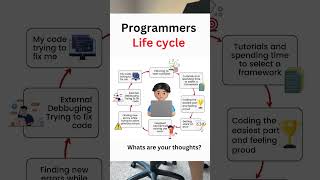 Programmers Life Cycle #programming #coding
