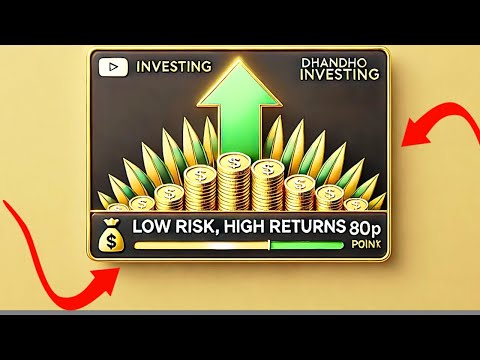 The Dhandho Investor | Your Guide to Low-Risk High-Return Value Investing | Summary