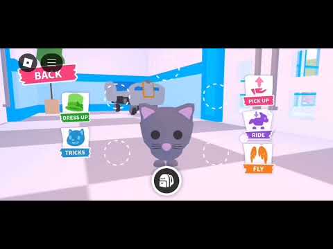 Играем в адопт со старым аккаунтом (KittenTykoz)