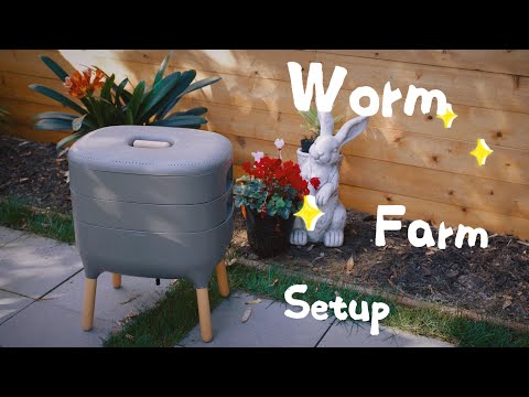 Worm Farm Setup | Plant Please | #gardening #howto
