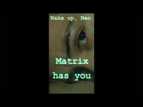 #shorts The Matrix has you - Follow the white rabbit