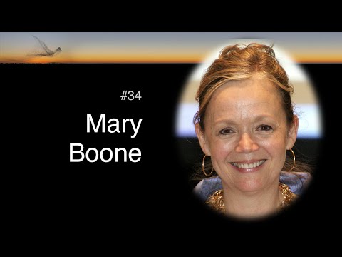 #34 Mary Boone - Explaining the Value of Complexity Approaches to Leaders