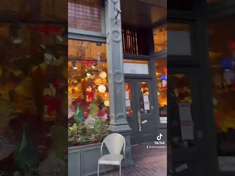 Mini Seattle vlog #seattle #thingstodoinseattle