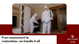 🏡 Mold-Free Living with Utah's Premier Mold Abatement Service | Bio Clean of Utah