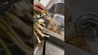 #short #agriculture #agritools#farming2024  #youtubeshorts #satisfying #EliteShortsUnleashed #2200