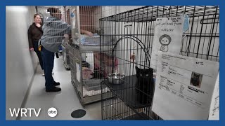 Hendricks County Animal Shelter faces heat outages, leadership changes