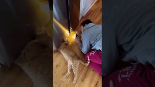 Dogs have the biggest hearts 🤭😜 #Funny #viral #dog #funnyvideos #fyp