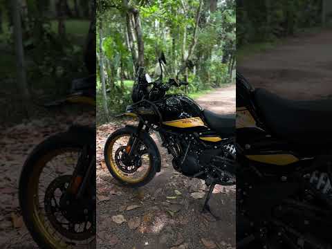 Himalayan 450 hanle black edition colour | Royal Enfield segment | #royalenfield #himalayan