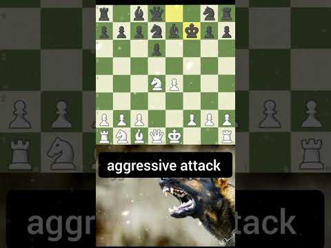 #chess ##chesstrick #latestchesstrick #trickychess #chesssomemovetowin #champainches #chessplayer #