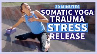 Somatic Yoga Routine + Vagus Nerve Stimulation to Release Trauma, Stress + Emotions  | 20 Minutes
