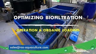 Optimizing Biofiltration Ammonia Removal Efficiency