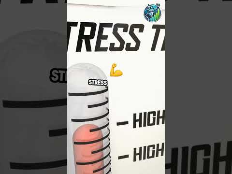 Turning Stress into Strength: Why Stress Testing Matters! 💪 #ai #trading #riskanalysis