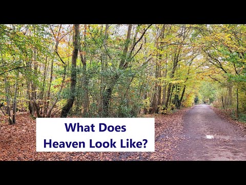 Walking in Blean Woods and talking about 'What Does Heaven Look Like'? Remembrance...