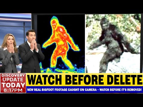 Top 20 CREEPIEST Bigfoot Encounters Ever Caught On Camera (2026) - Scientists Are Shocked!