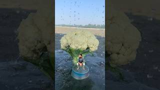 Amazing Creative Mobile Videography tricks 📱😱 #shorts #ideas #videography #viralshorts