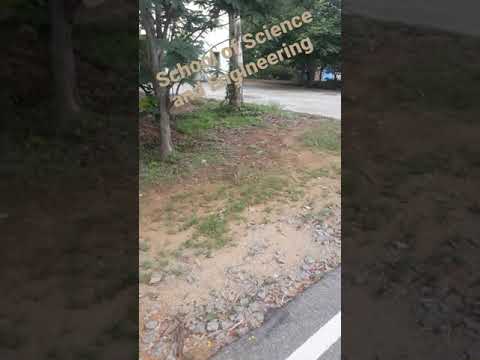 School of Engineering Science, University of Hyderabad