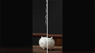 Adobe Photoshop 2025 Tips & Tricks #shorts #photoshop #PicsNedits
