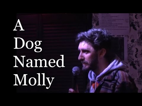 A Dog Named Molly