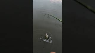 More When you find what they like