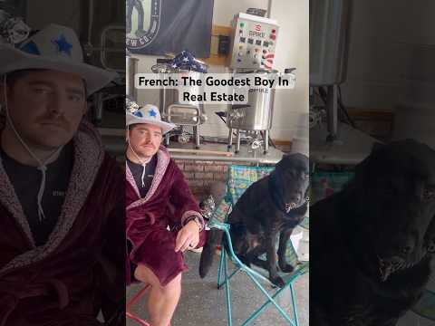 🦴Meet French: My Best Friend & Partner in Real Estate! 🐕‍🦺 #veteranhomeownership #supportvets