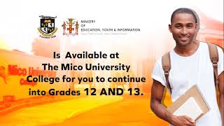 The Mico Sixth Form Integration Programme