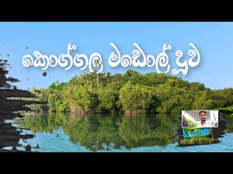 මඩොල් දූව | Madol Duwa Koggala