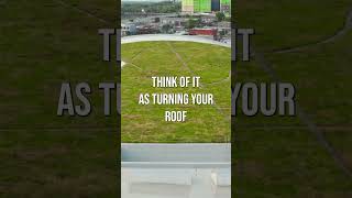 Green Roofs #shorts #ecofriendly #greenbuilding