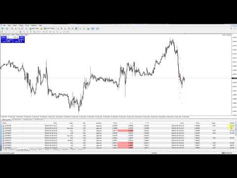 Real Live Trading Day 1 - Optim Trader Expert Advisor
